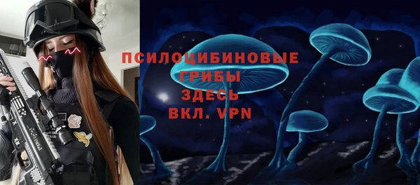 марки lsd Инта