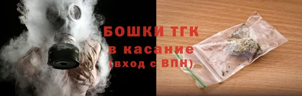 ешки Инсар