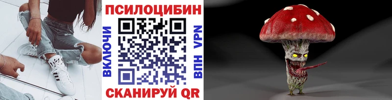 Галлюциногенные грибы мухоморы  Купить закладки  Грязи 