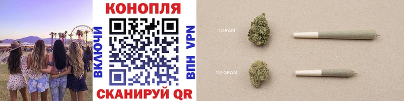 Купить закладки  Грязи  Канабис сатива 